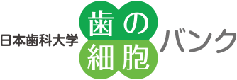 日本歯科大学 歯の細胞バンク