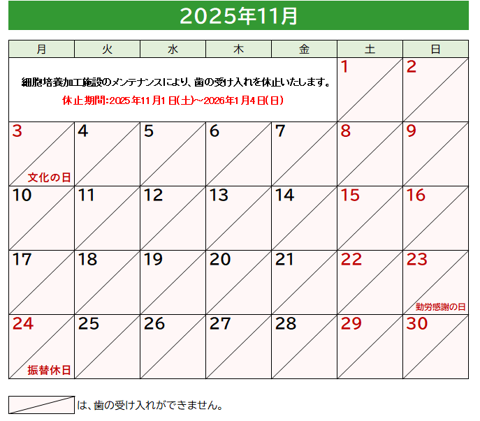 2025.11.png