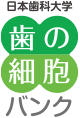 日本歯科大学 歯の細胞バンク