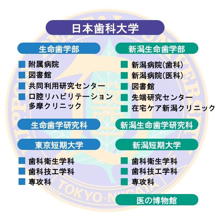 daigakusosiki20250617.JPG