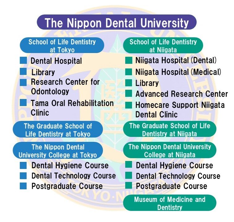 daigakusosikiEnglish20250617.JPG