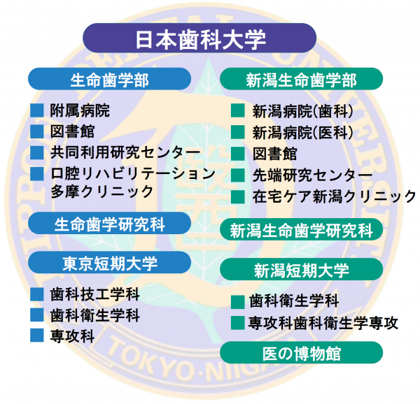 組織概要図｜大学案内｜日本歯科大学